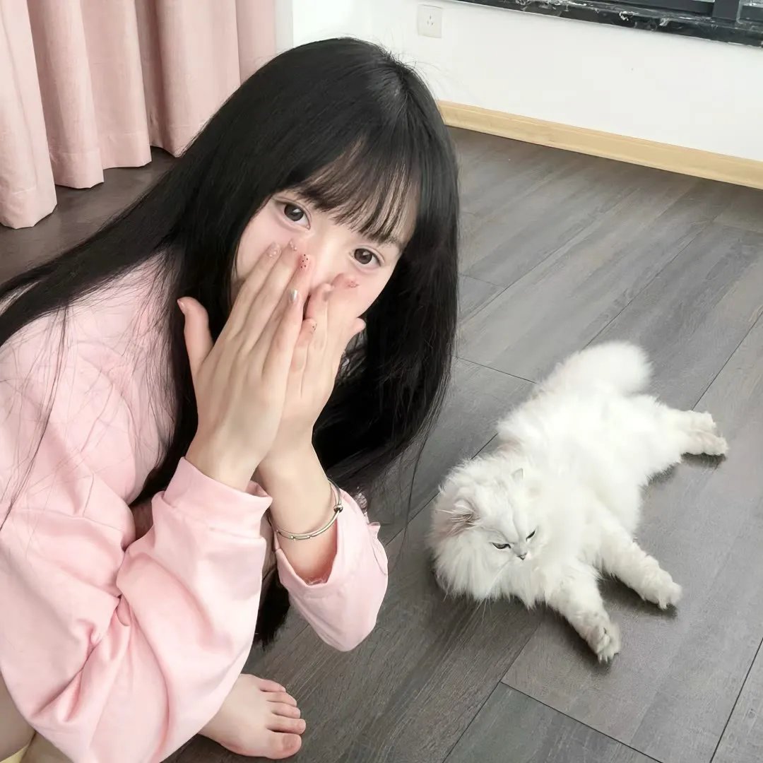 凤鸣怪谈